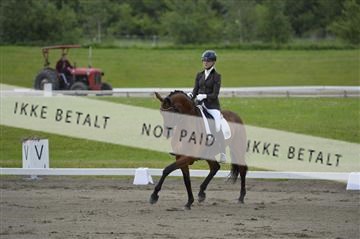 140040_abo_01__AB17508.JPG