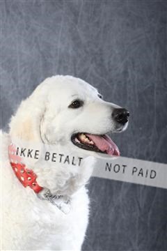 129608_le_ 01_0405.JPG