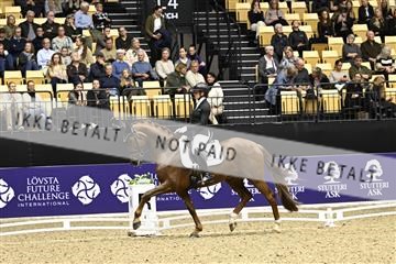 182194_kbb_03_Z090921.JPG