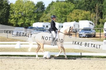 181894_mtp_05_R62_4595.JPG