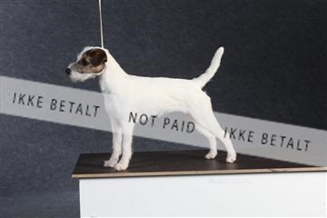 132082_le_ 01_IMG_1371.JPG