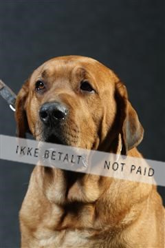 132082_le_ 01_IMG_0148.JPG