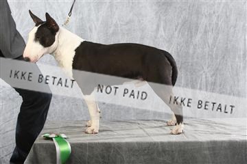 129608_le_ 02_0274.JPG