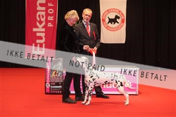 126827_tl_04_IMG_0049.JPG