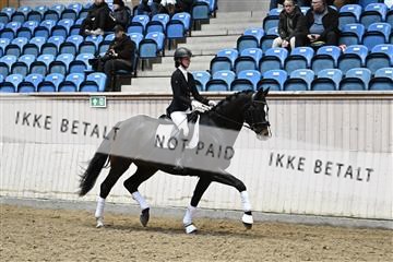 182241_kbb_01_Z095111.JPG