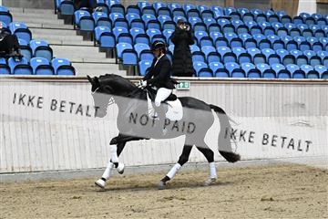 182241_kbb_01_Z094021.JPG