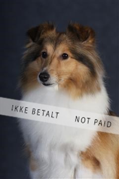 132082_le_ 01_IMG_0792.JPG