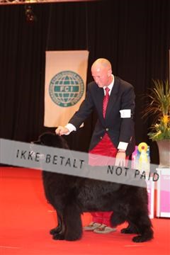 126827_tl_04_IMG_9895.JPG