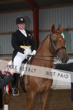 139835_sg_03_IMG_9205.JPG