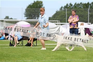 181564_rin_02_R62_1563.JPG