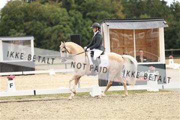 181894_mtp_03_R62_2698.JPG
