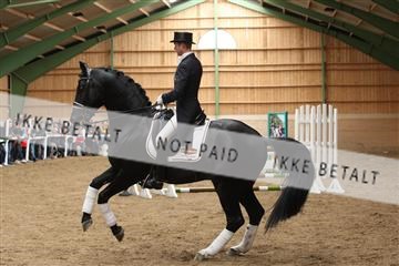 139265_kl_1_8M1Q6131.JPG