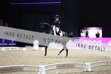 182194_avh_07_3981.JPG