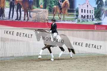 181887_mtp_04_R62_8873.JPG