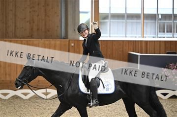 182176_kbb_01_Z092473.JPG