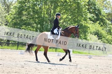 168732_mtp_01_3M5A7120.JPG
