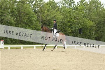 139835_sg_01_IMG_7229.JPG