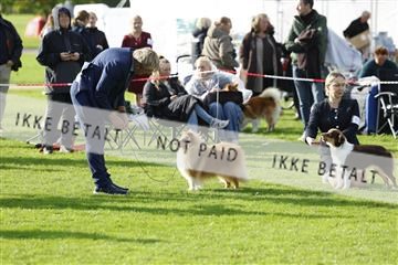 182009_kar_01__62_7353.JPG