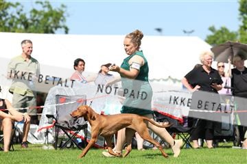 181564_rin_02_R62_3273.JPG
