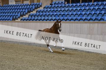 139327_abo_01__AB10219.JPG