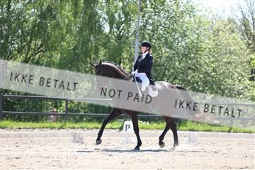 168732_mtp_01_3M5A7161.JPG
