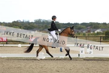 181894_mtp_03_R62_2599.JPG