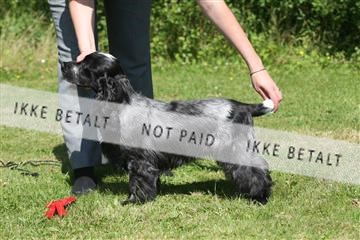 130370_se_03_IMG_7237.JPG