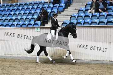 182241_kbb_01_Z094348.JPG