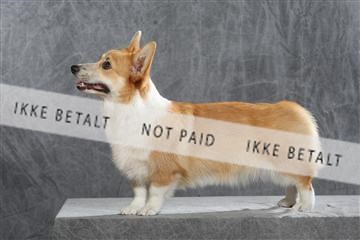 130054_le_ 01_0300.JPG