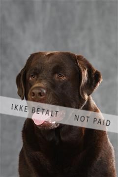 130054_le_ 01_0384.JPG