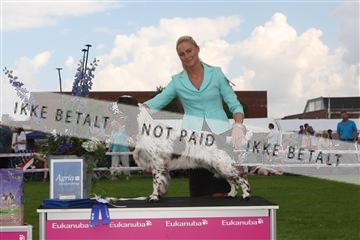 130370_le_02_IMG_8572.JPG