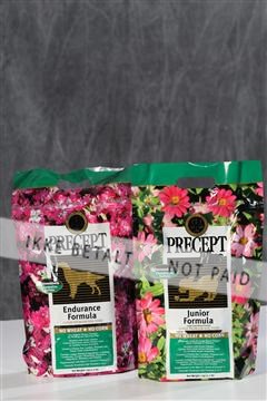 128239_le_kort_ 01_0176.JPG