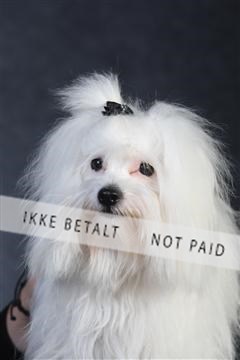 132082_le_ 01_IMG_0295.JPG