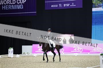 182194_mlm_02_R62_1122.JPG
