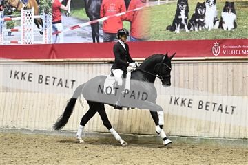182241_kbb_01_Z093930.JPG