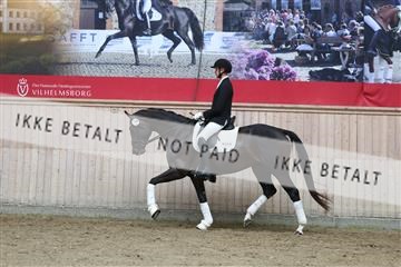 181887_mtp_01_R62_7134.JPG