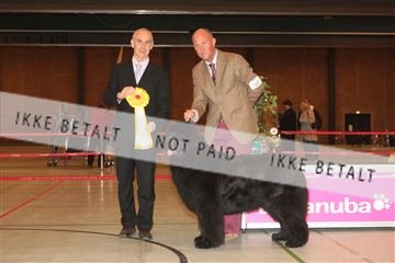 124188 _tl_02_IMG_9747.JPG