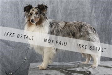 129608_le_ 01_0911.JPG