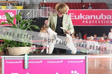 6068_ma_07_IMG_6950.JPG