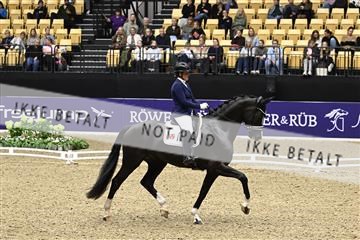 182194_kbb_03_Z091360.JPG