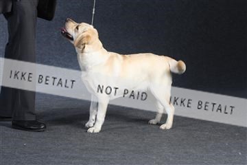 132082_le_ 01_IMG_1429.JPG