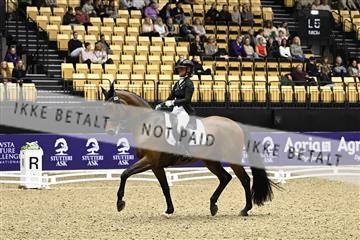 182194_kbb_03_Z090305.JPG