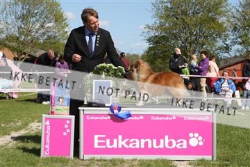 134871_ms_02_IMG_3902.JPG