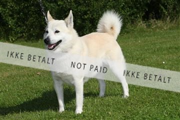 130370_se_03_IMG_6765.JPG