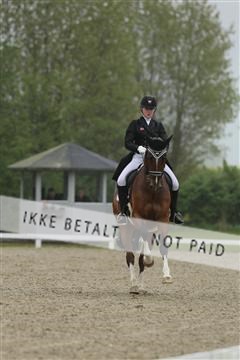 139835_sg_02_IMG_8874.JPG