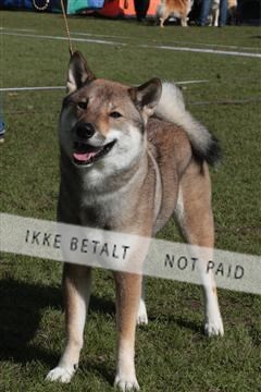 126168_tl_01_IMG_0083.JPG