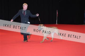 126827_tl_04_IMG_9931.JPG