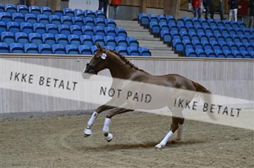 139327_abo_01__AB10146.JPG