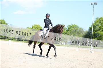 168732_mtp_01_3M5A7976.JPG