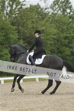 139835_sg_02_IMG_8809.JPG